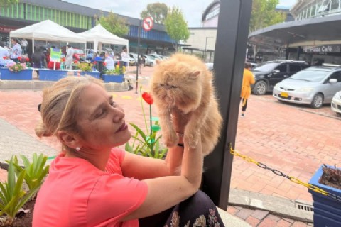 La depresión en los jugadores de fútbol: goles y lágrimas