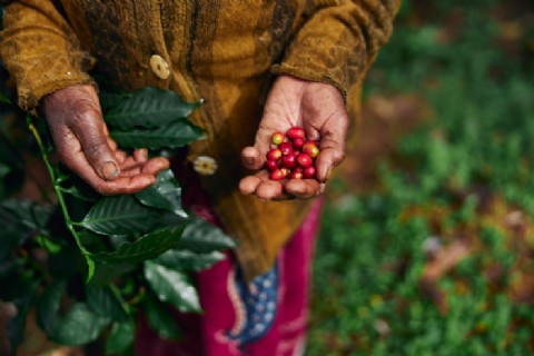 VIDEO | Casi la mitad de los nuevos negocios en el país son liderados por mujeres, pero pocas logran escalar