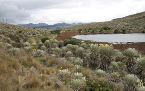 EL IDT edifica el turismo de naturaleza: Tesoros Ambientales