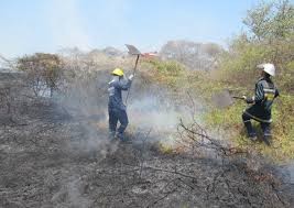 Emergencia ambiental en uno de los parques naturales más importantes del Caribe colombiano