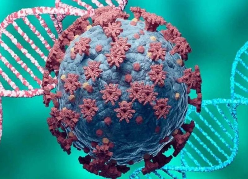 Covid-19: la nueva variante ómicron alerta al mundo pero ¿qué debemos saber sobre ella?