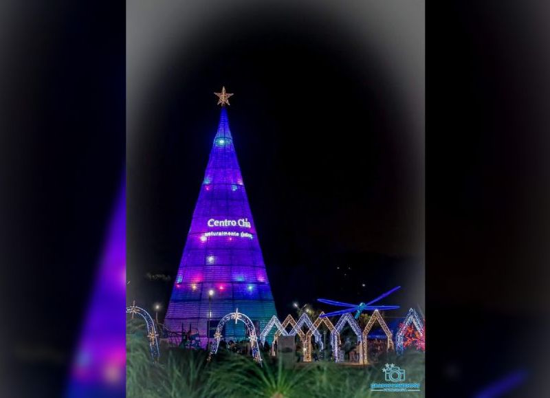 VIDEO | Colombia tiene el árbol ecológico más alto del mundo