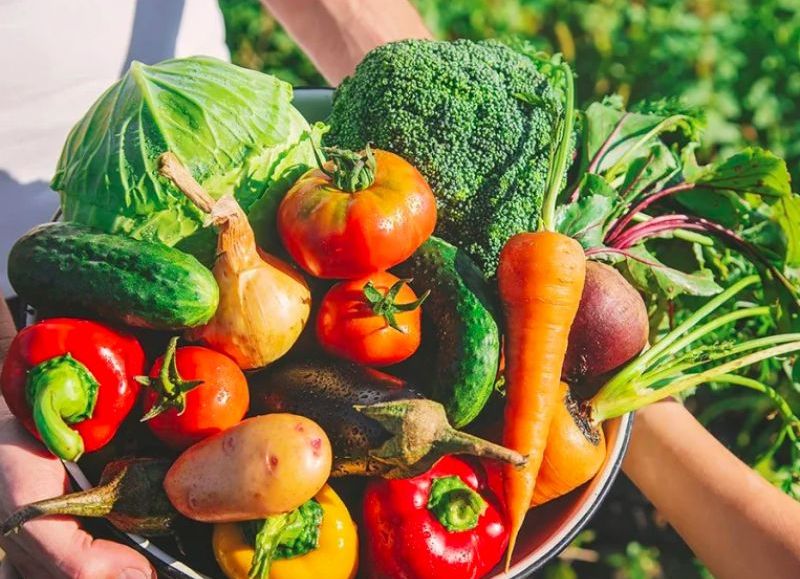 Alimentación saludable, orgánica y libre de gluten: opciones que mejorarán tu vida