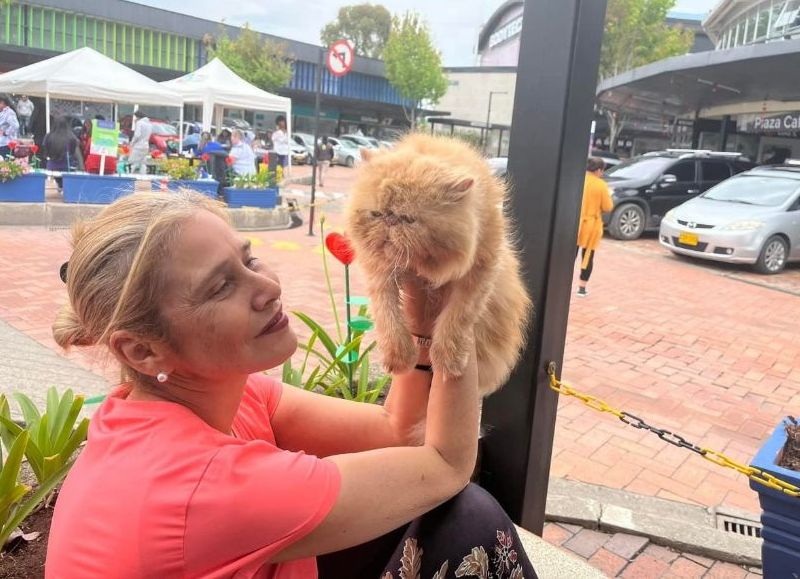 La depresión en los jugadores de fútbol: goles y lágrimas