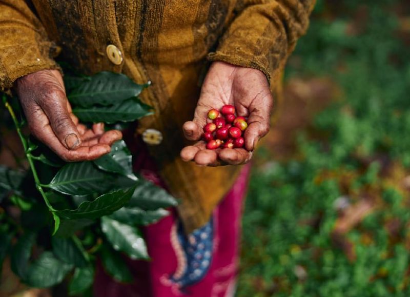 VIDEO | Casi la mitad de los nuevos negocios en el país son liderados por mujeres, pero pocas logran escalar