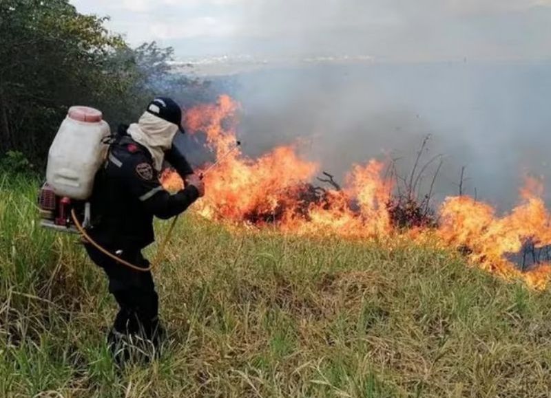 Amenaza de incendios forestales en el país: más de 700 municipios están en alerta